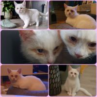 Pip en Puk